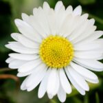 Inside Daily Mind Tip: The Creative Bundle” The Me Time”